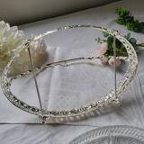 Glass compartment dish