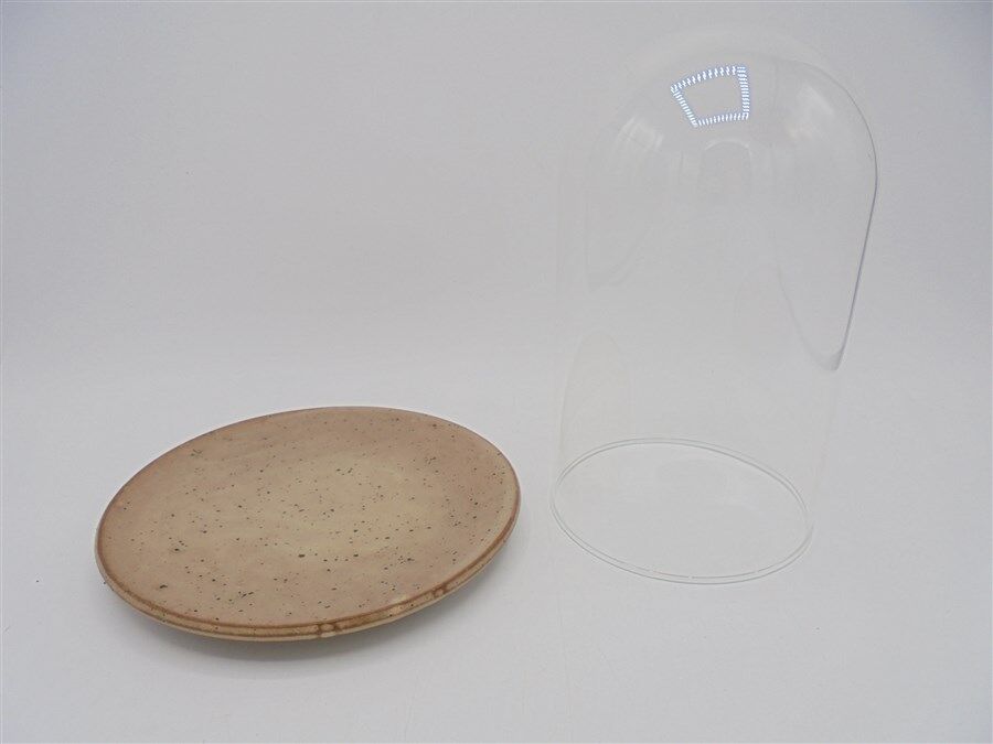 Cloche en verre sur assiette