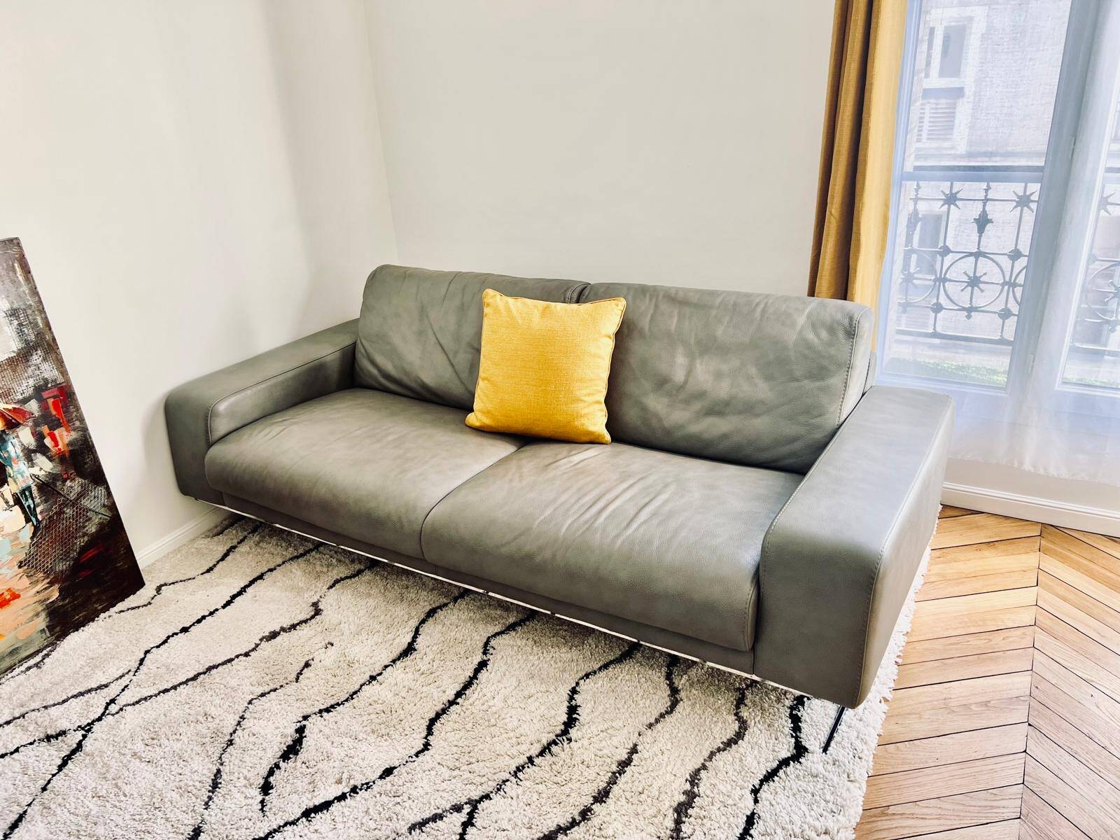 Roche Bobois sofa