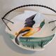 Duck catchall