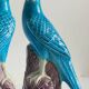 Pair of phenix birds chinese porcelain early 20th century