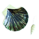 St-Clement shell-shaped butter dish and knife