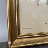 Ornithological engraving golden frame bird