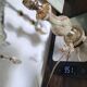 Lampe de table vintage en onyx et laiton, Italie