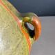 Vintage ceramic pot