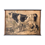 Affiche "Vache" grille éducatif 1891
