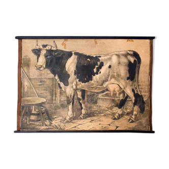 Affiche "Vache" grille éducatif 1891