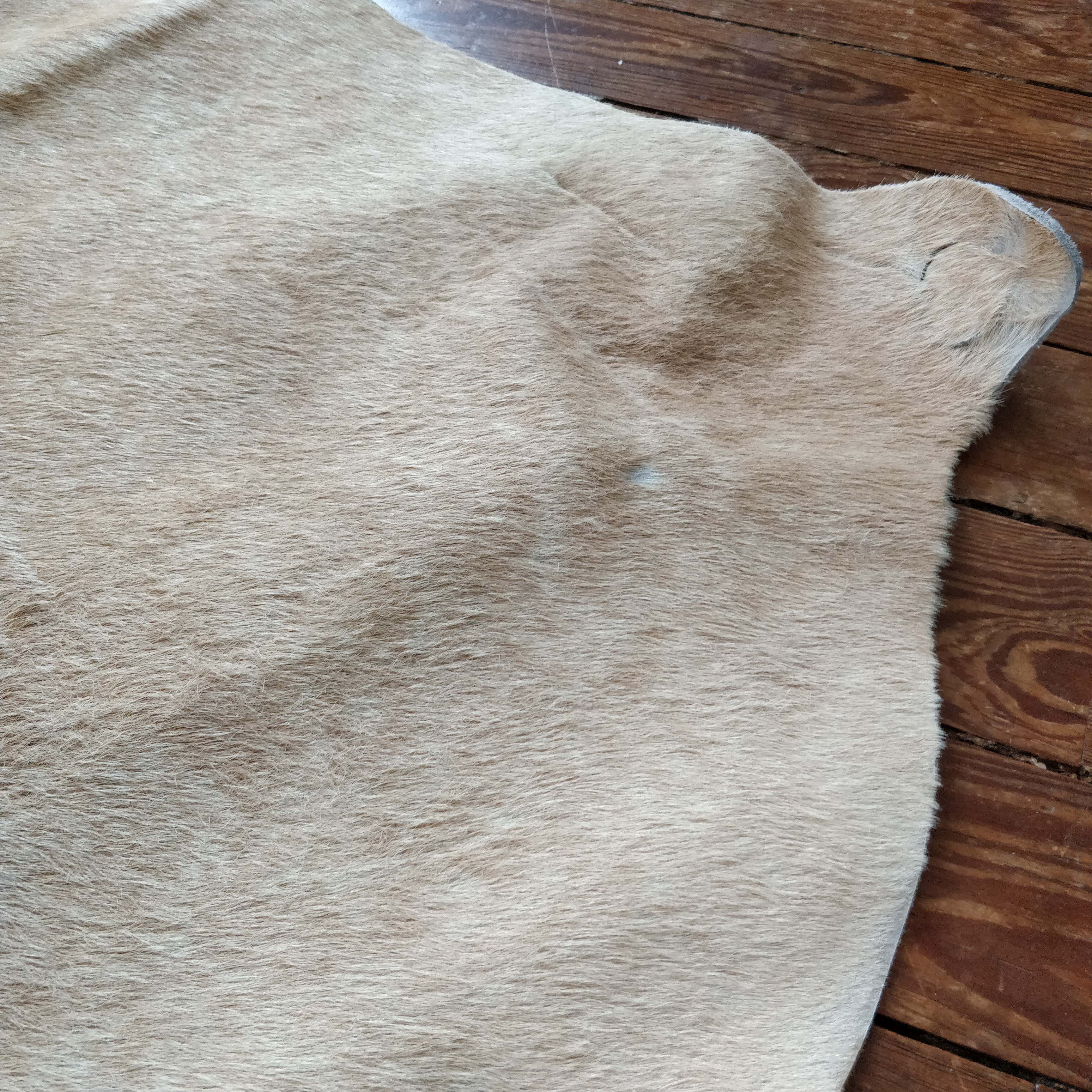 Cow skin 220 x 140 cm