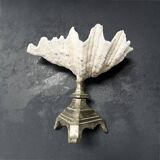 Shell-shaped trinket dish on a base