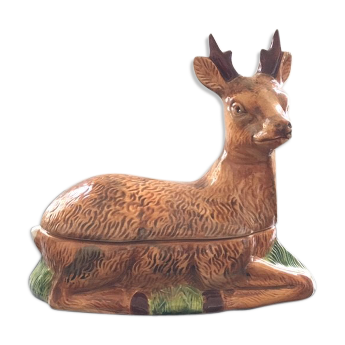 Empty pocket deer in dabbling