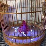 Old bird cage made of bamboo and wood