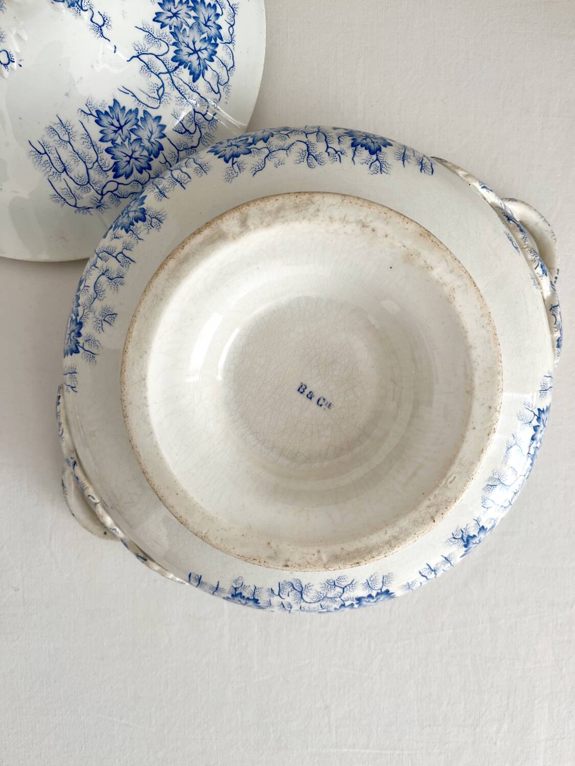 Antique ironstone tureen “Flora Lichen” Creil and Montereau