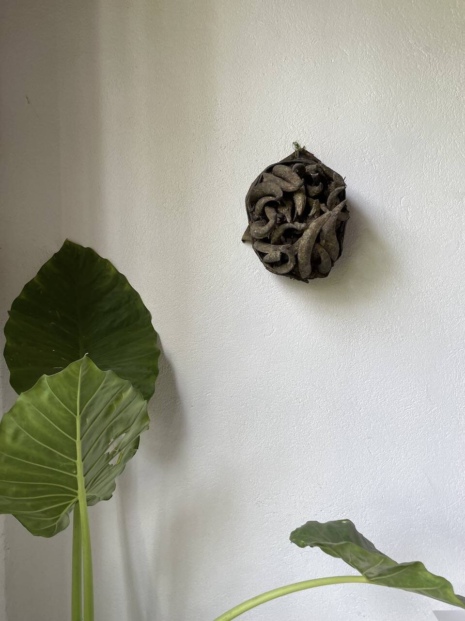 Bété Nyabwa mask Ivory Coast