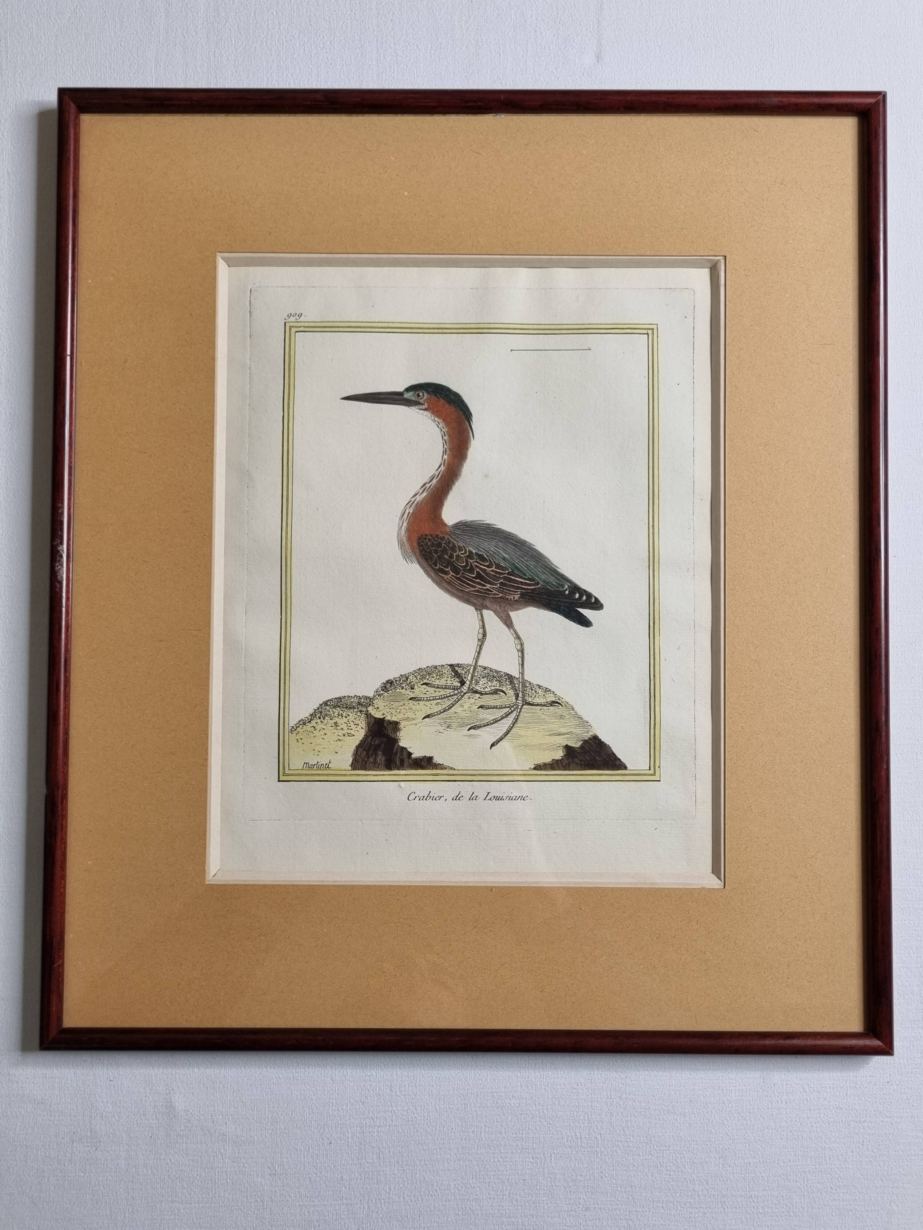 Original engraving by François Nicolas Martinet, 18th century, Louisiana crab fisher, framed,