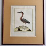 Original engraving by François Nicolas Martinet, 18th century, Louisiana crab fisher, framed,