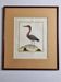 Original engraving by François Nicolas Martinet, 18th century, Louisiana crab fisher, framed,