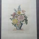 Lithograph by prévost english vase