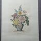 Lithographie par Prévost vase anglais