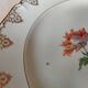 14 flat plates Céranord Eve