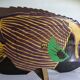 Vintage 1970s Equinox fish