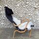 Pernilla armchair in black canvas by Bruno Mathsson, Dux, Sweden 1970