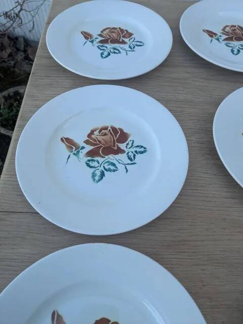 6 flat plates "choc"