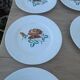 6 flat plates "choc"