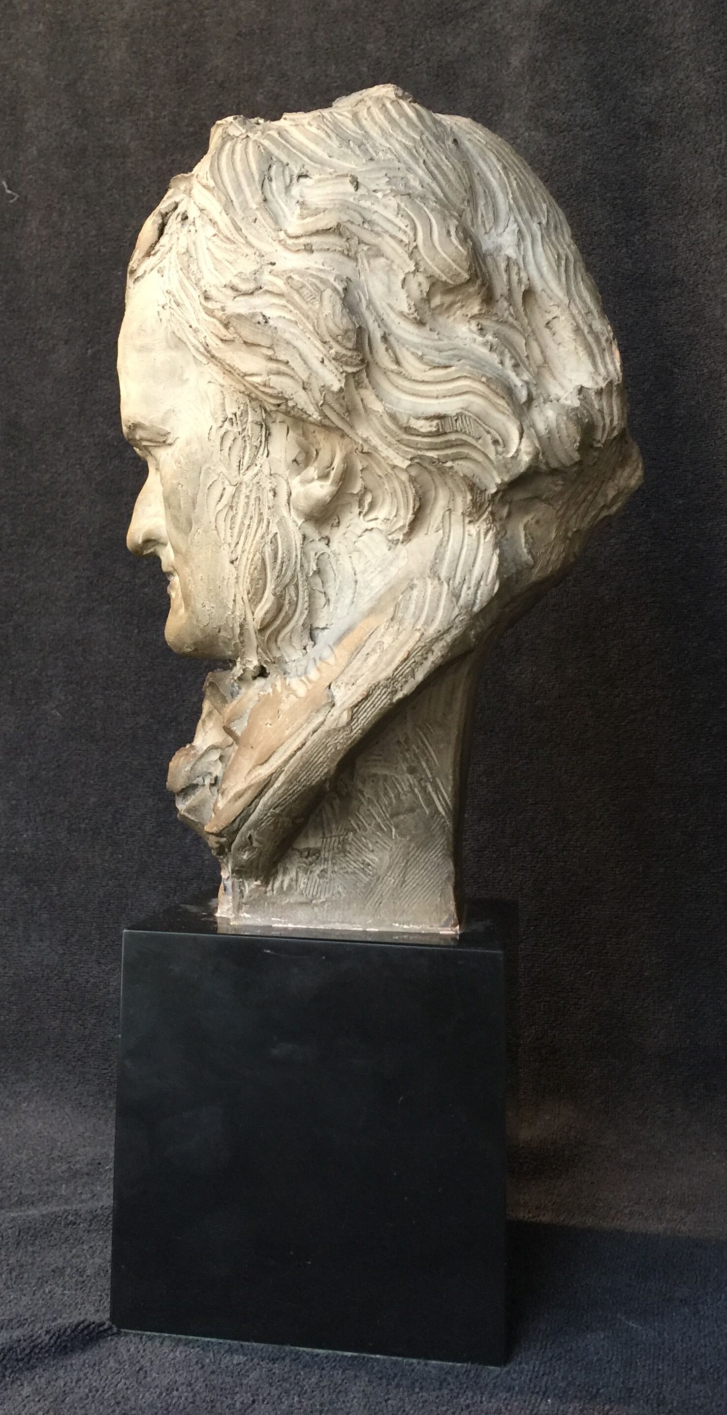 Bust of Richard Wagner by Fernand Cian (edition)