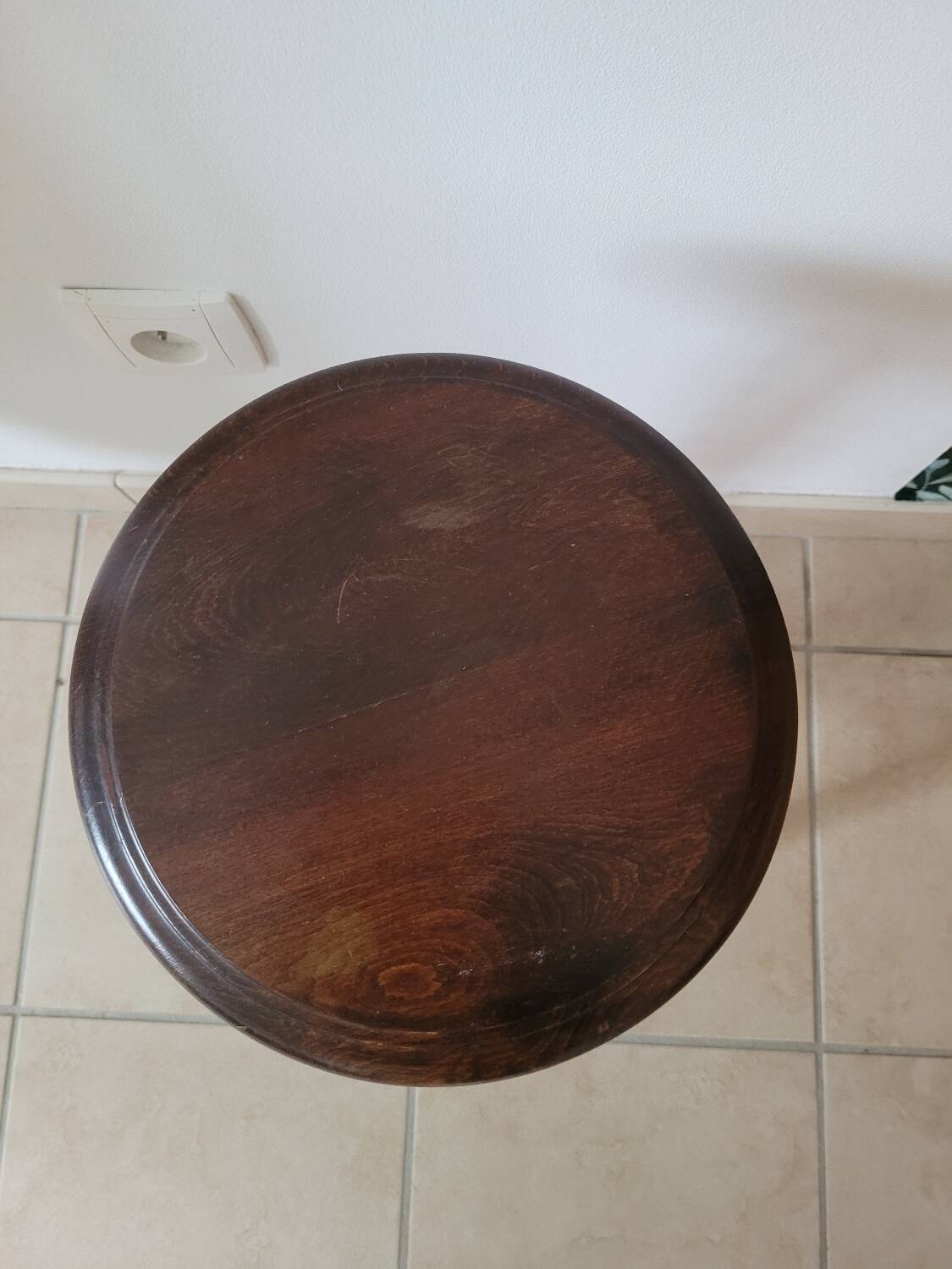 Plant holder