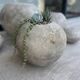 Minami - artisanal pot in mineral cement – Wabi-Sabi style