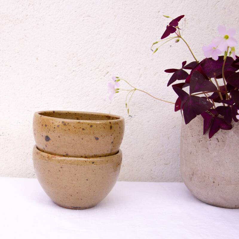 2 large feu la Berne stoneware bowls signed