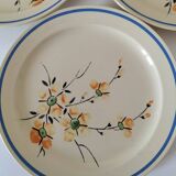 Assiettes Boch Frères La louvière