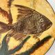 Plat poisson signé Puigdemont