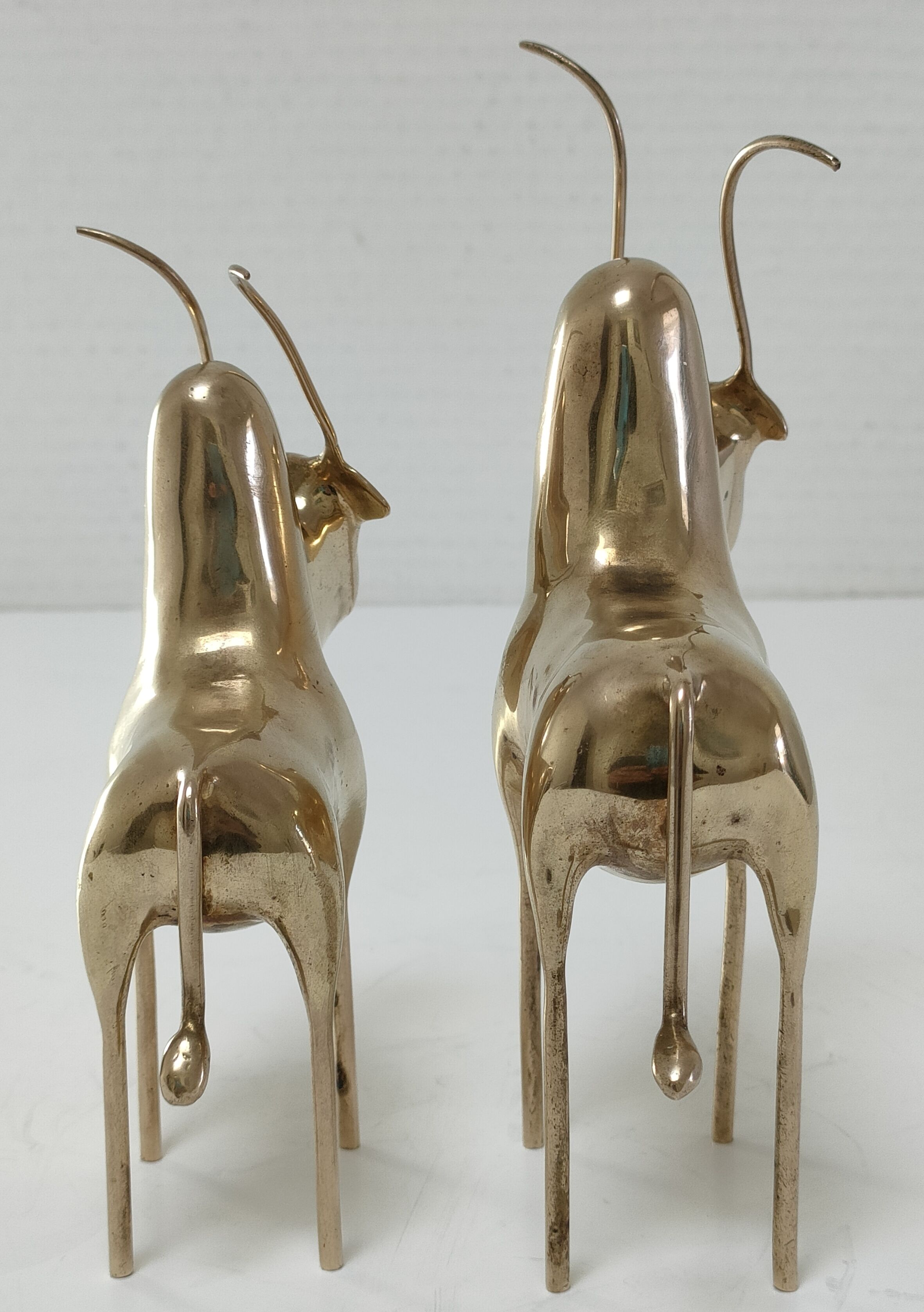 Two stylized zebu with long vintage brass horns