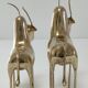 Two stylized zebu with long vintage brass horns