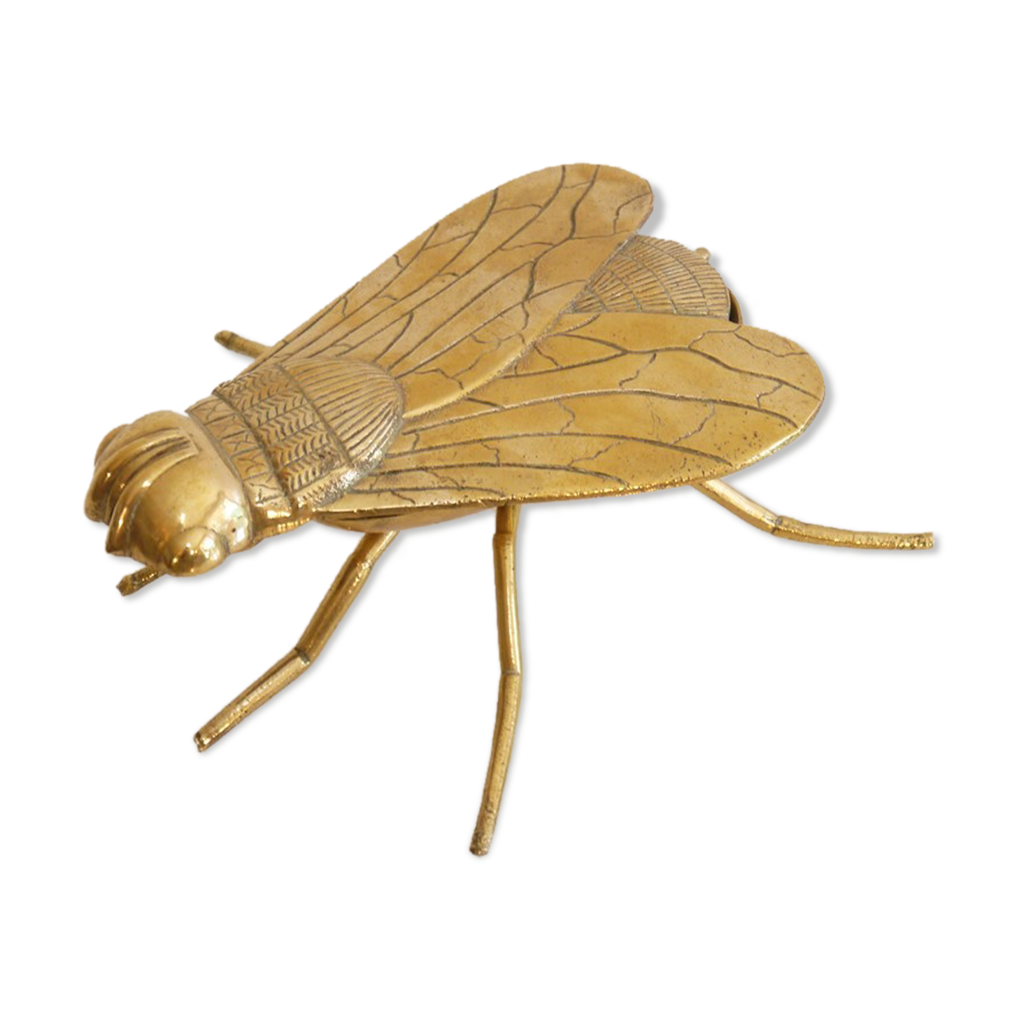 Empty vintage pocket in the shape of a brass insect