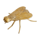 Empty vintage pocket in the shape of a brass insect