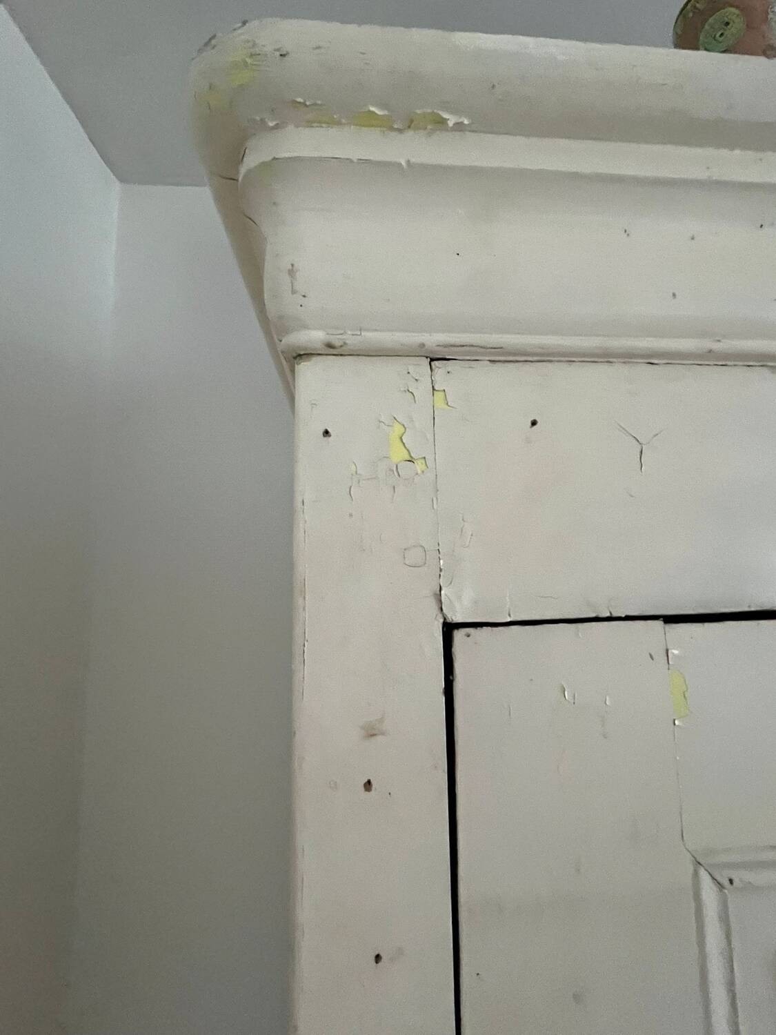 19th century standing man's wardrobe