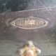 1920 Malle auto "malle plume". Very good condition with keys.
