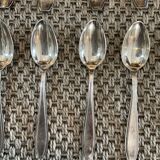 Spoons, forks, small spoons, ladle