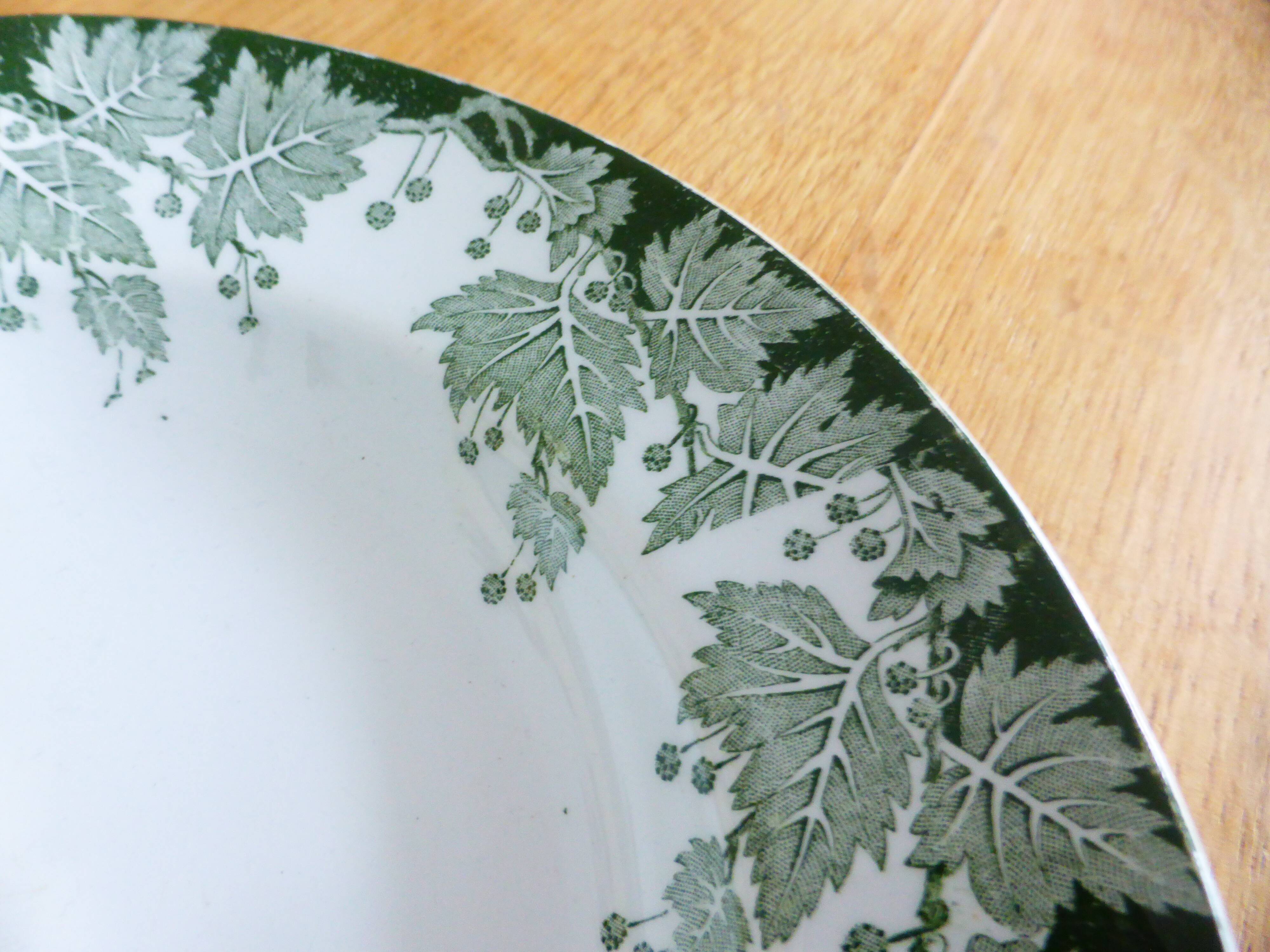 1 soup plate of St amand and hamage plane model