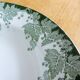 1 soup plate of St amand and hamage plane model