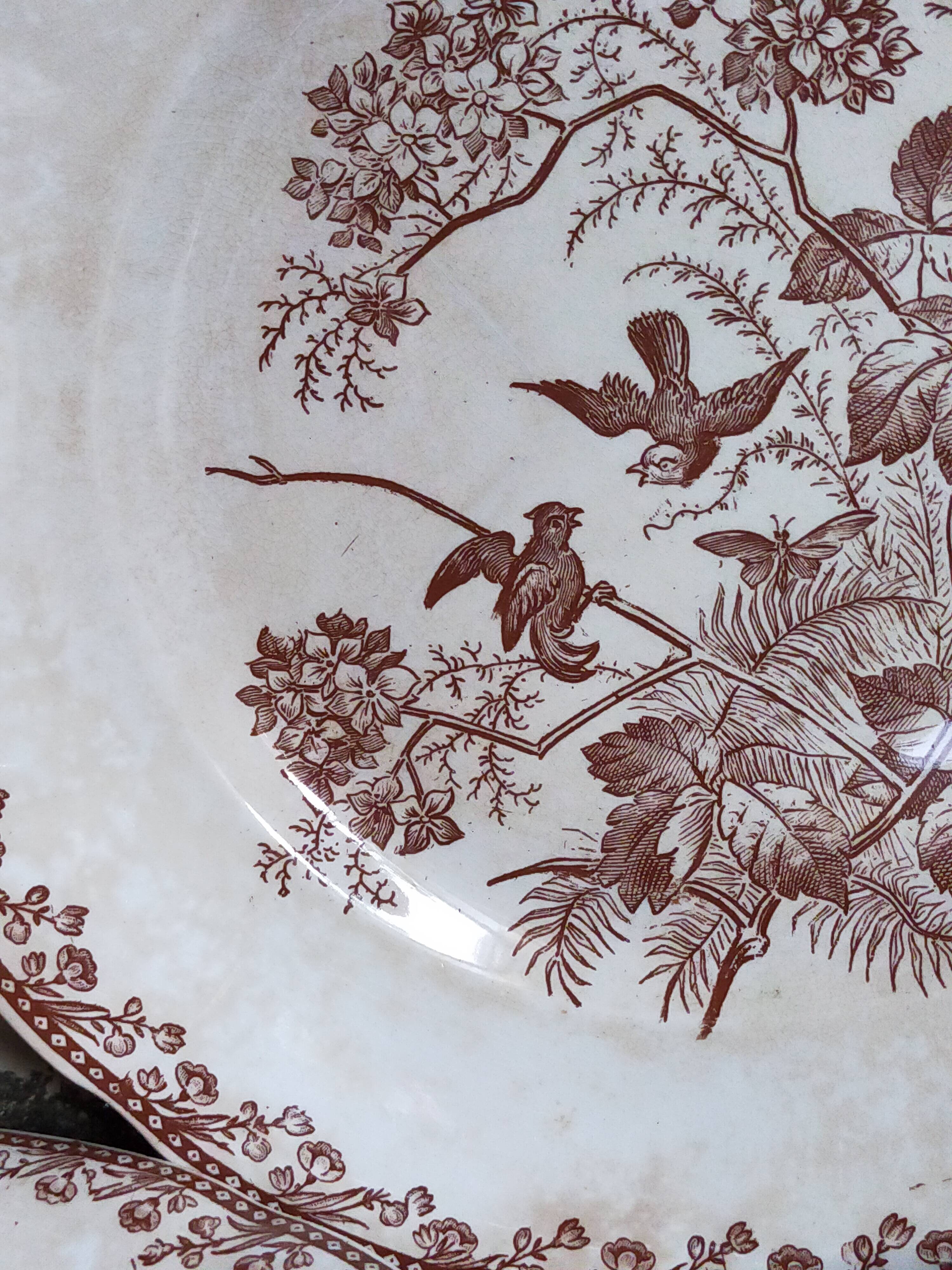 Seven iron earth dessert plates with birds ffPexonne late 19th century
