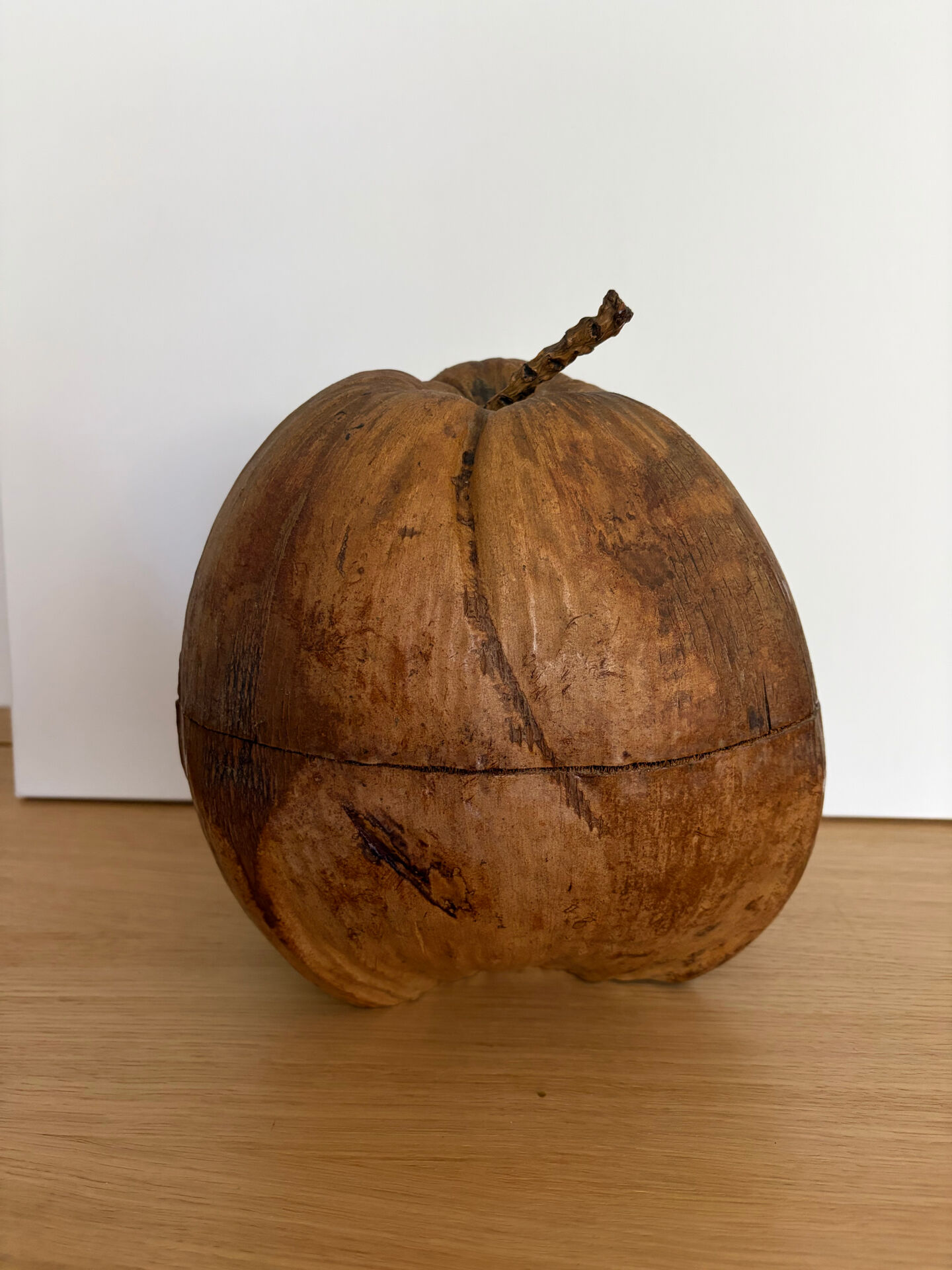 Large ice bucket made of genuine coconut