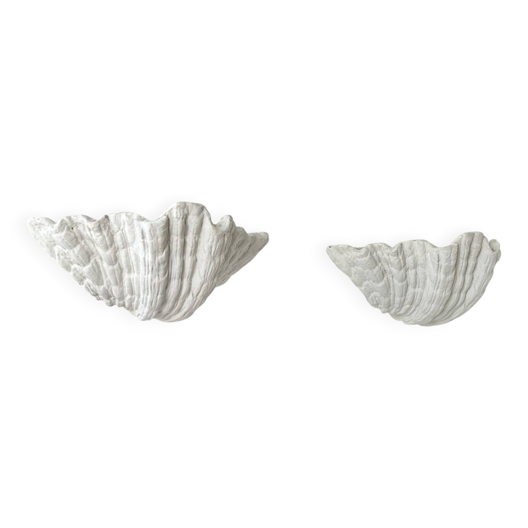 Pair of XL vintage shell plaster wall lights, France, attributed to S. Roche.