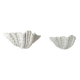 Pair of XL vintage shell plaster wall lights, France, attributed to S. Roche.