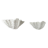 Pair of XL vintage shell plaster wall lights, France, attributed to S. Roche.