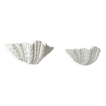Pair of XL vintage shell plaster wall lights, France, attributed to S. Roche.