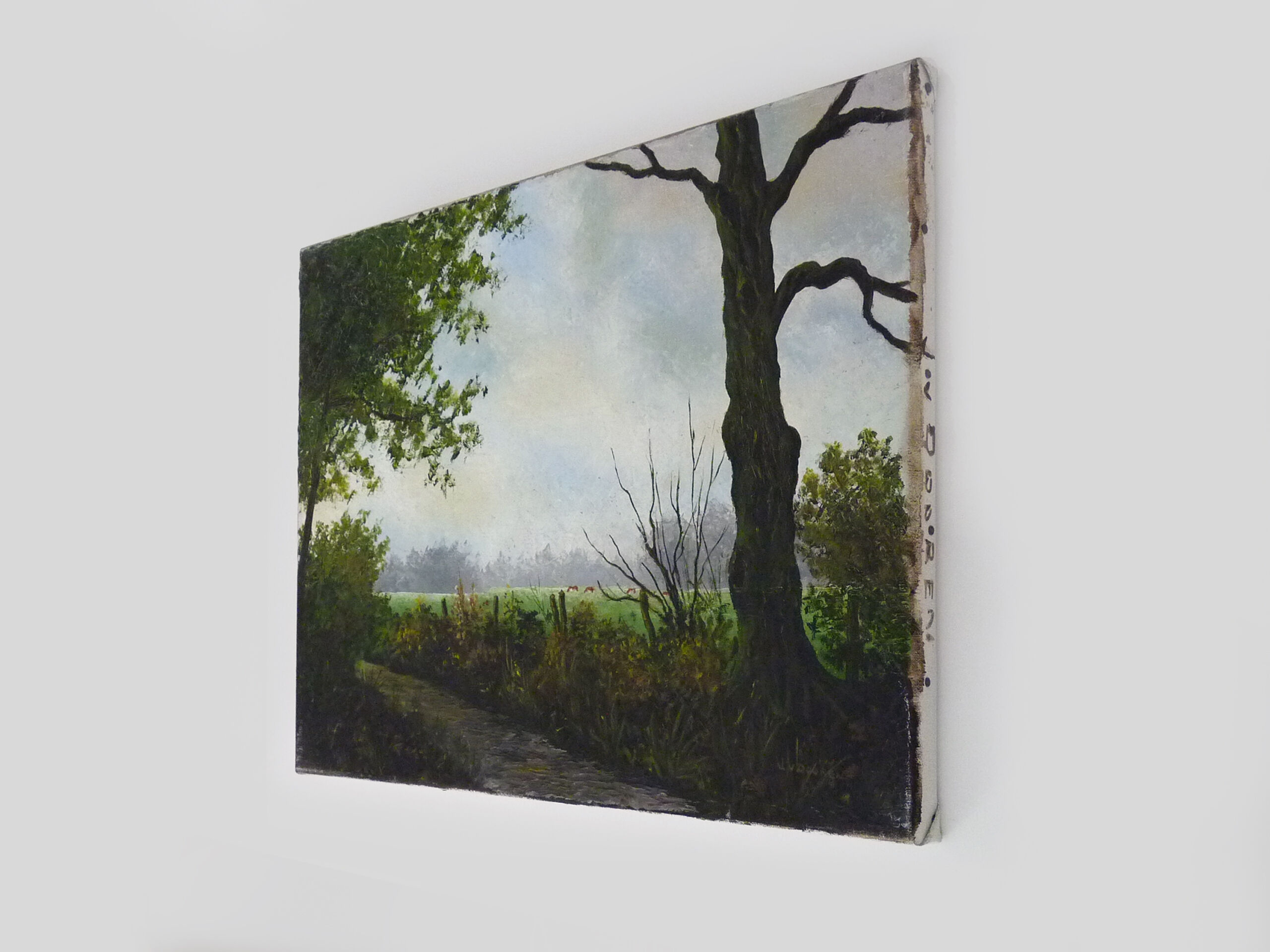 Oil on canvas village by Jan Van Dooren, autumn landscape. Signed. 70s