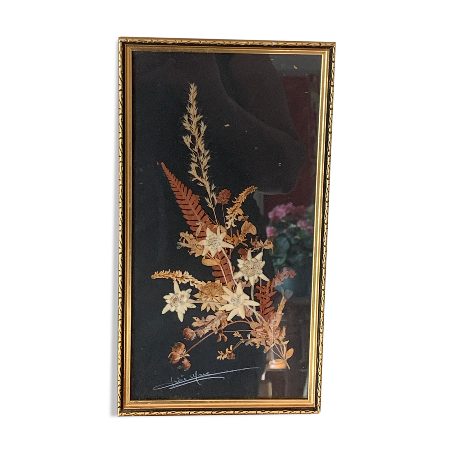 Cadre herbier fleurs séchées et edelweiss vintage
